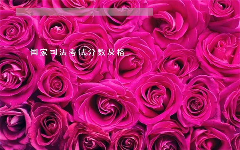 国家司法考试分数及格 国家司法考试分数及格