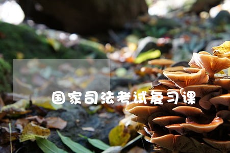 国家司法考试复习课 国家司法考试复习课