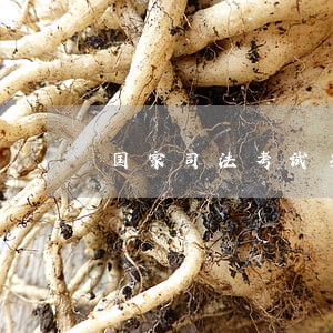 国家司法考试多少及格分