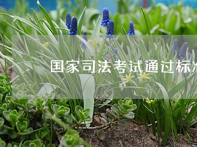 国家司法考试通过标准 国家司法考试通过标准