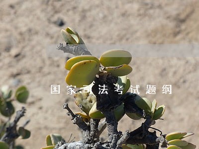 国家司法考试题纲 国家司法考试题纲