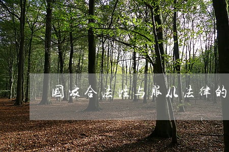 国家合法性与服从法律的义务