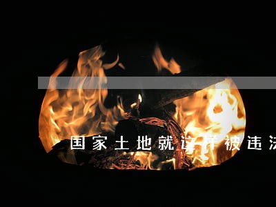 国家土地就这样被违法造墓