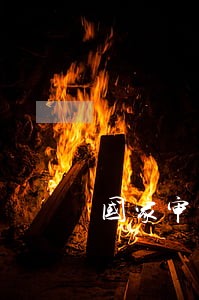 国家审计关于不良贷款的法规