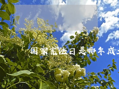 国家宪法日是哪年成立的 国家宪法日是哪年成立的