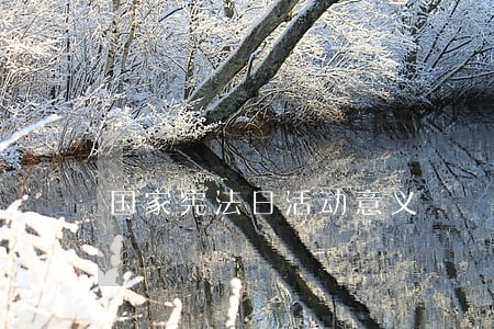 国家宪法日活动意义