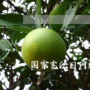 国家宪法日网络答题