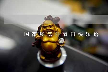 国家宪法日节日快乐哈 国家宪法日节日快乐哈