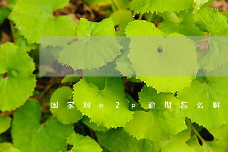国家对p2p逾期怎么解决 国家对p2p逾期怎么解决