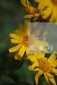 国家对于贷款逾期费用规定 国家对于贷款逾期费用规定