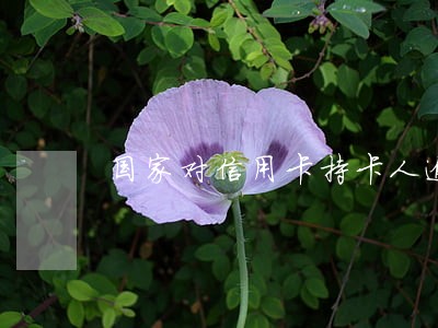 国家对信用卡持卡人逾期的处罚 国家对信用卡持卡人逾期的处罚