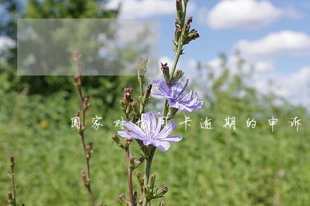 国家对信用卡逾期的申诉规定 国家对信用卡逾期的申诉规定
