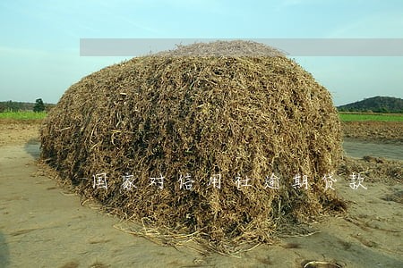 国家对信用社逾期贷款 国家对信用社逾期贷款