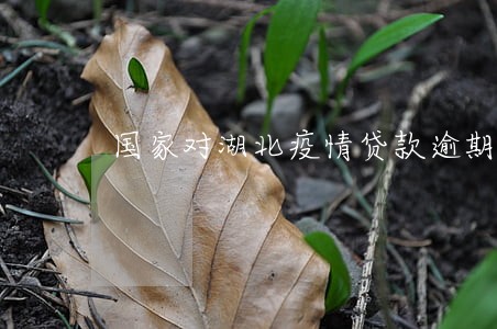 国家对湖北疫情贷款逾期 国家对湖北疫情贷款逾期