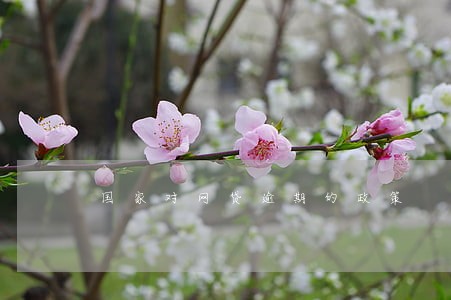 国家对网贷逾期的政策 国家对网贷逾期的政策