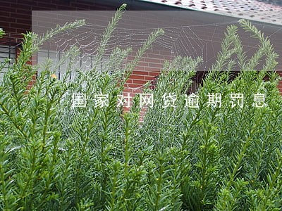 国家对网贷逾期罚息 国家对网贷逾期罚息