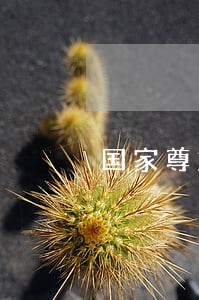 国家尊重和保障人民权利写入宪法时间 国家尊重和保障人民权利写入宪法时间