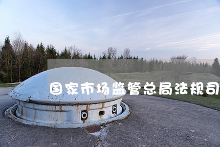 国家市场监管总局法规司孔司长 国家市场监管总局法规司孔司长