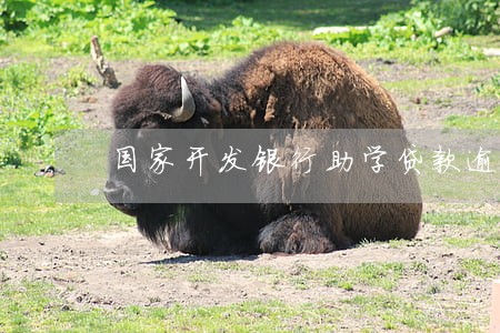国家开发银行助学贷款逾期 国家开发银行助学贷款逾期
