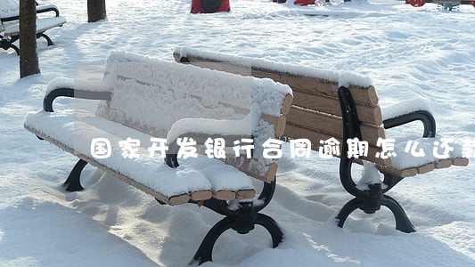 国家开发银行合同逾期怎么还款 国家开发银行合同逾期怎么还款