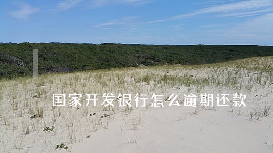 国家开发银行怎么逾期还款
