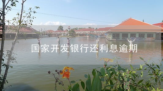 国家开发银行还利息逾期