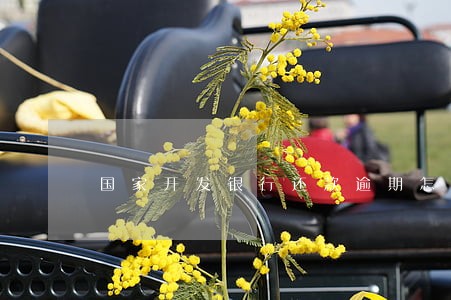 国家开发银行还款逾期怎么 国家开发银行还款逾期怎么
