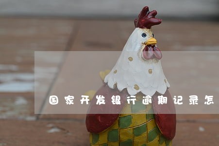 国家开发银行逾期记录怎么开 国家开发银行逾期记录怎么开