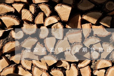 国家开发银行逾期贷款还款日期 国家开发银行逾期贷款还款日期