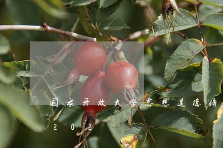 国家开放大学思想道德修养与法律基础答案202 国家开放大学思想道德修养与法律基础答案202