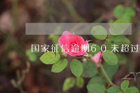 国家征信逾期60未超过90 国家征信逾期60未超过90