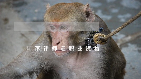 国家律师证职业资格 国家律师证职业资格