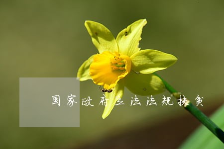 国家政府立法法规扶贫 国家政府立法法规扶贫
