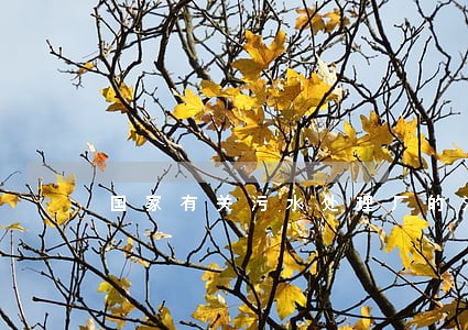 国家有关污水处理厂的法令法规 国家有关污水处理厂的法令法规