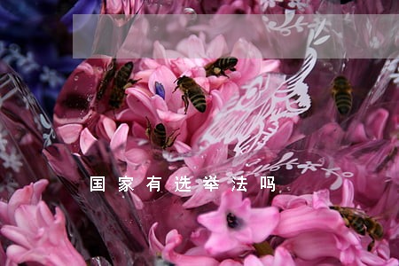 国家有选举法吗