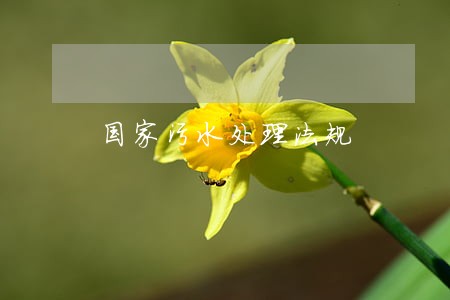国家污水处理法规 国家污水处理法规