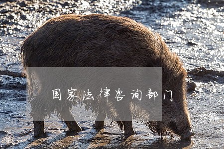 国家法律咨询部门 国家法律咨询部门