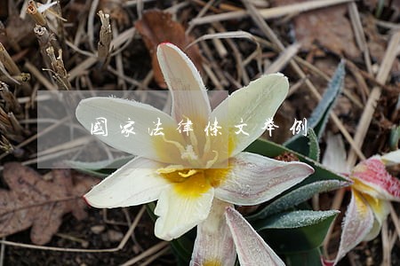 国家法律条文举例 国家法律条文举例