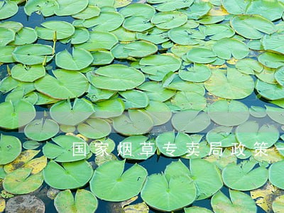 国家烟草专卖局政策一法规司 国家烟草专卖局政策一法规司