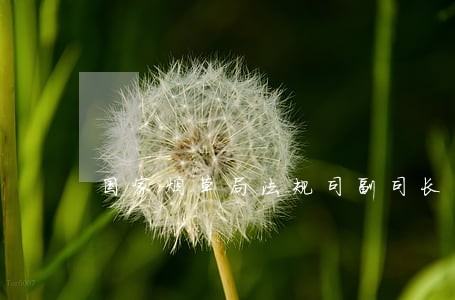 国家烟草局法规司副司长 国家烟草局法规司副司长