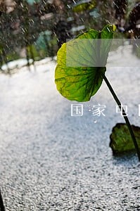 国家电网征地诉讼