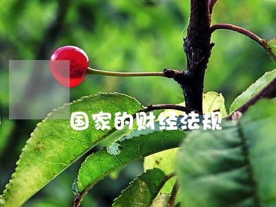 国家的财经法规 国家的财经法规