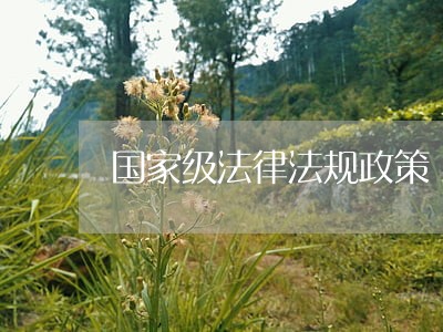 国家级法律法规政策 国家级法律法规政策