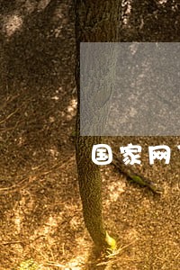 国家网贷逾期利息 国家网贷逾期利息