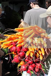 国家考试卷四真题及答案