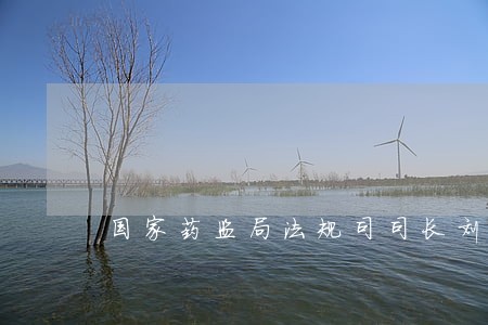国家药监局法规司司长刘沛 国家药监局法规司司长刘沛