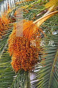 国家规定信用卡只归还本金 国家规定信用卡只归还本金