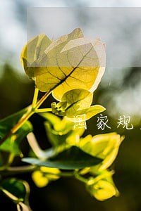 国家规定信用卡逾期时间 国家规定信用卡逾期时间