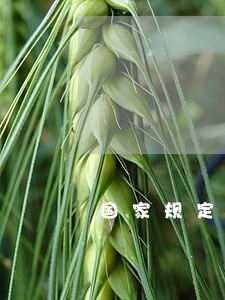 国家规定日利息超过多少违法