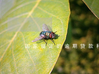 国家规定的逾期贷款利率 国家规定的逾期贷款利率